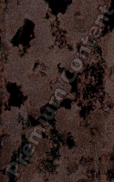 photo texture of rust decal 0002